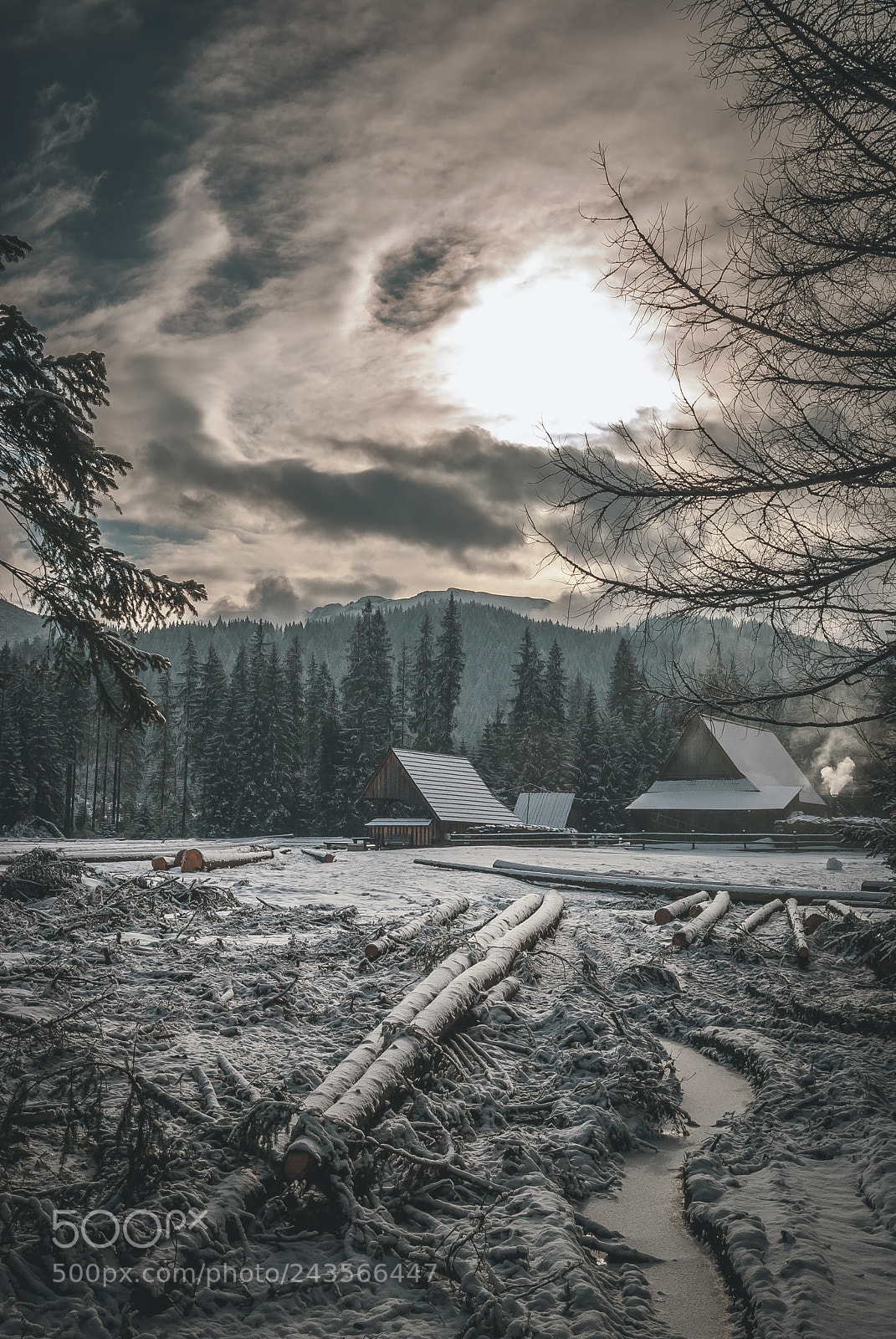 Nikon D60 sample photo. Moody day photography