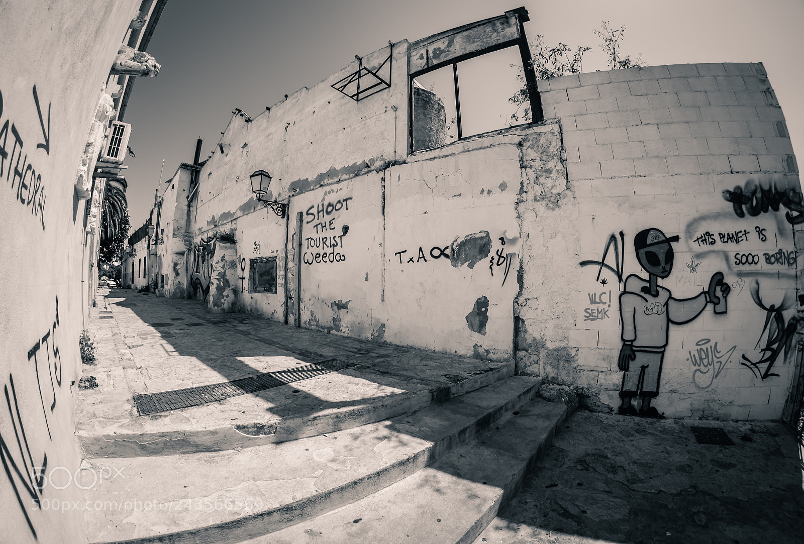 Nikon D3100 sample photo. Palma photography