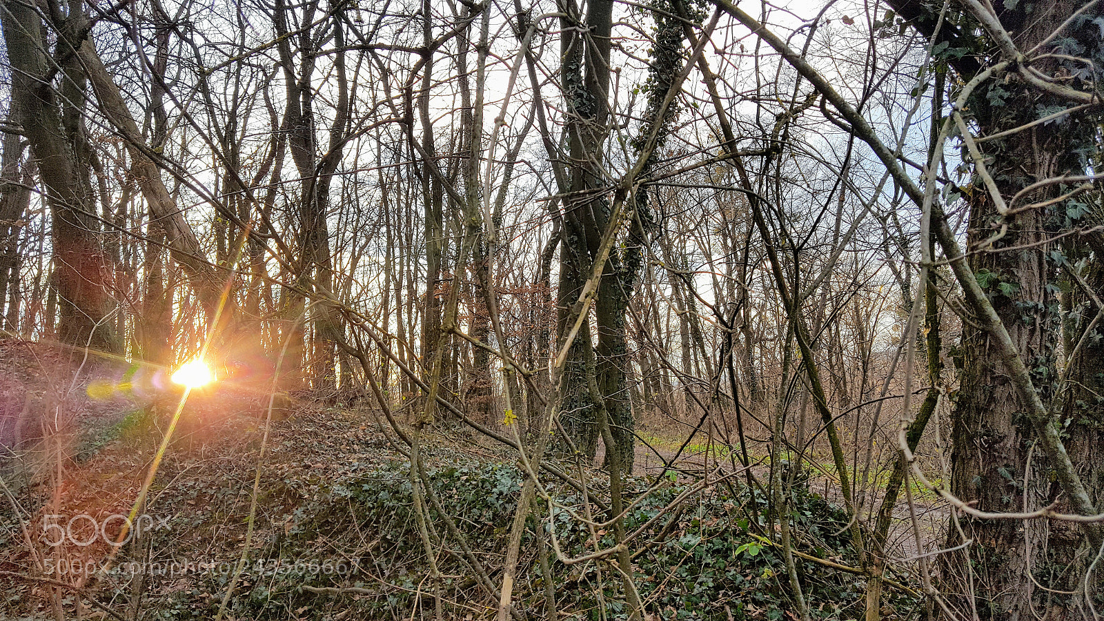 Samsung GALAXY S6 edge sample photo. Untitled photography