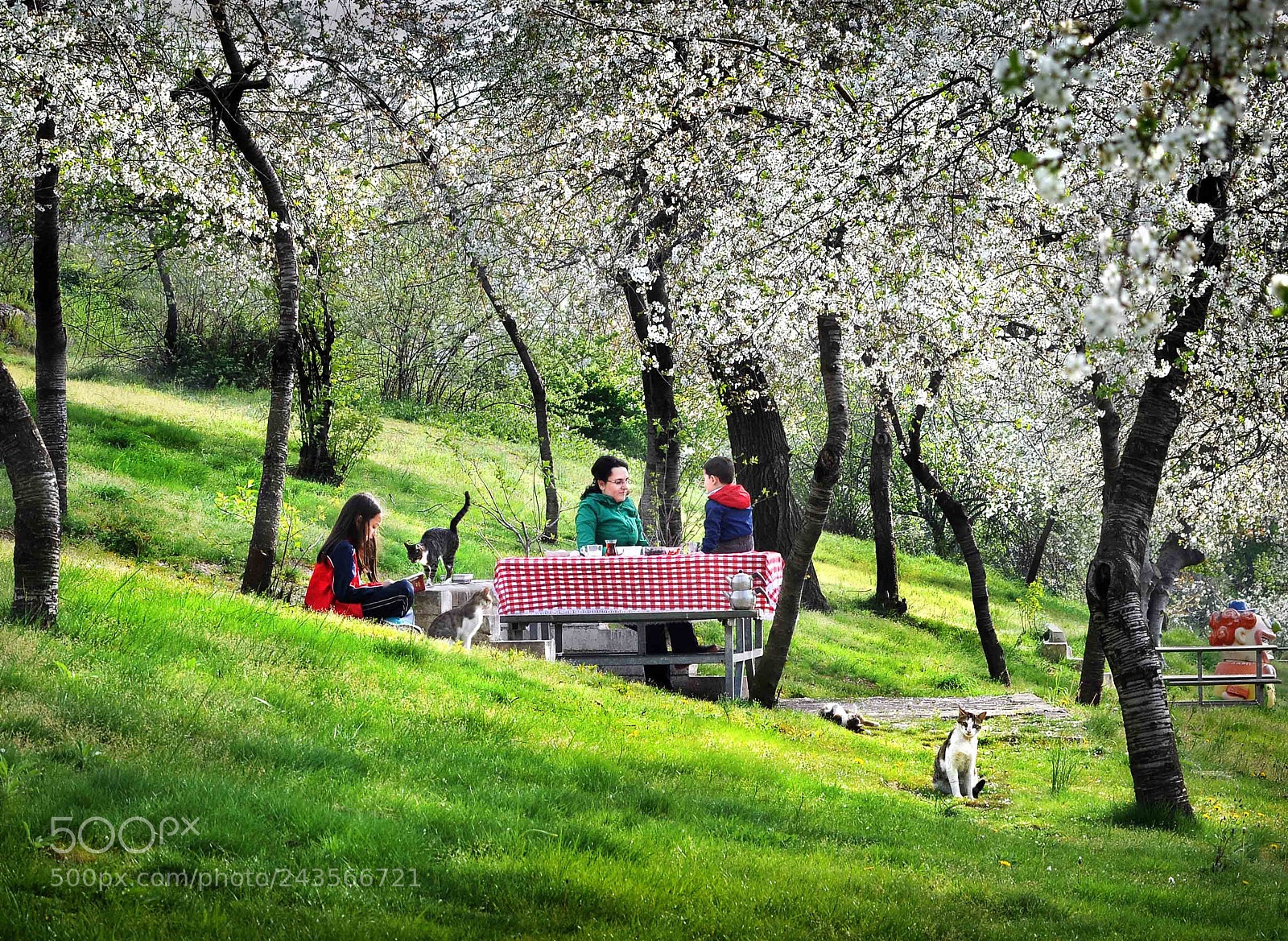 Nikon D90 sample photo. Untitled photography