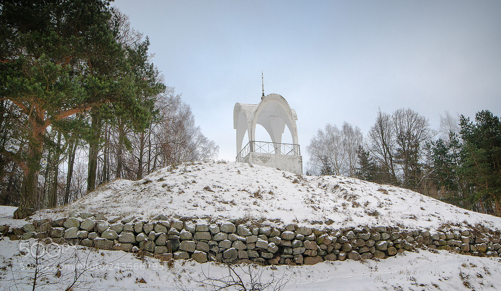Nikon D3100 sample photo. Winter arbor photography