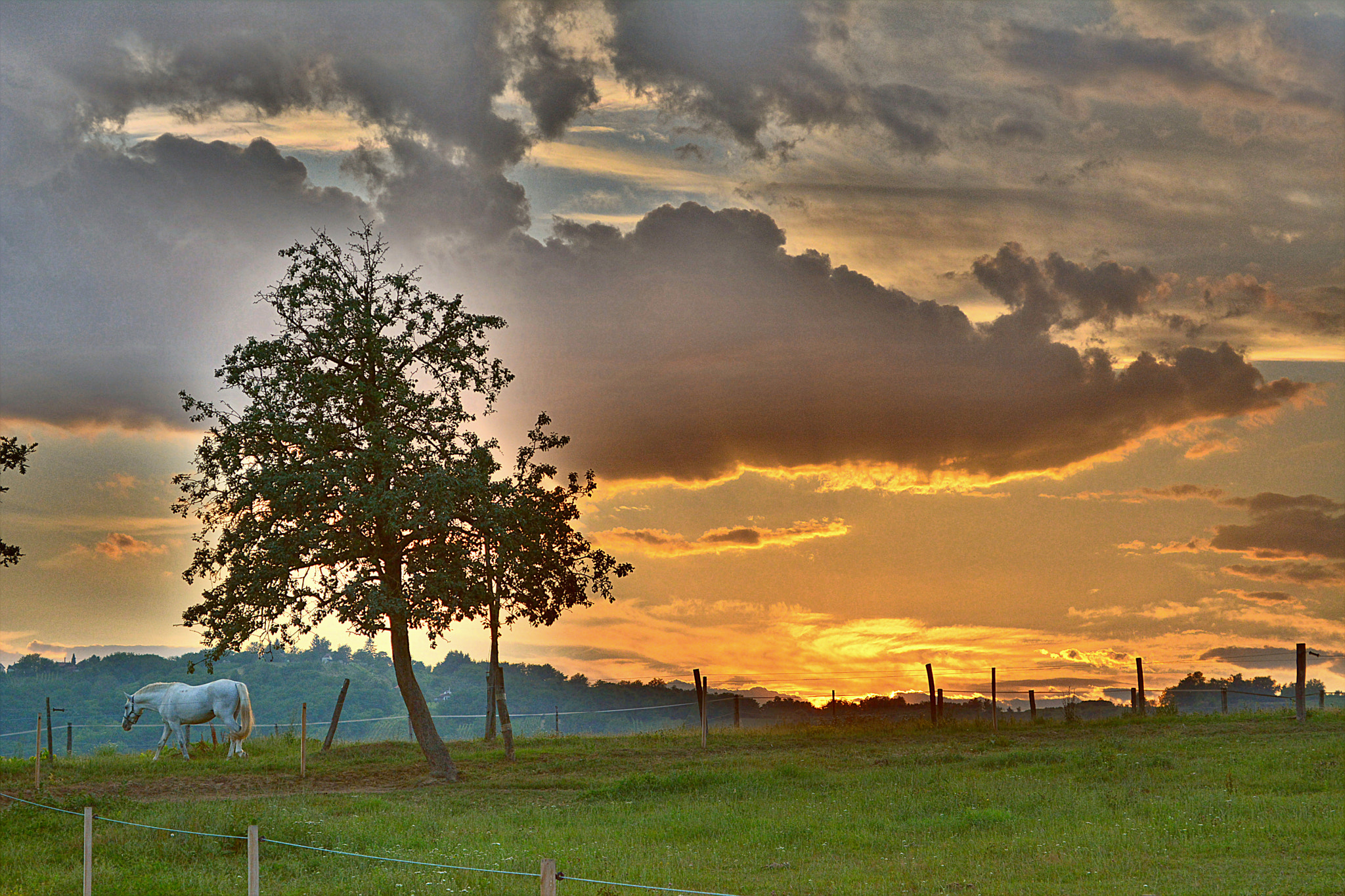 Nikon D7100 sample photo