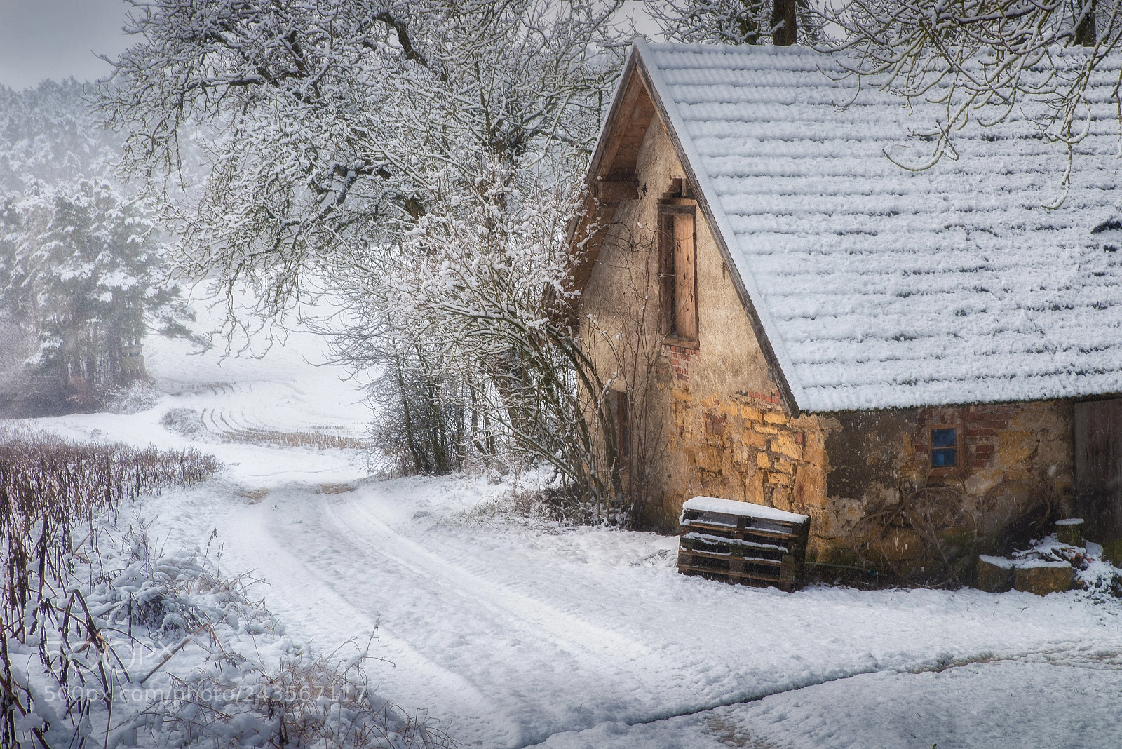Nikon D610 sample photo. Left house photography
