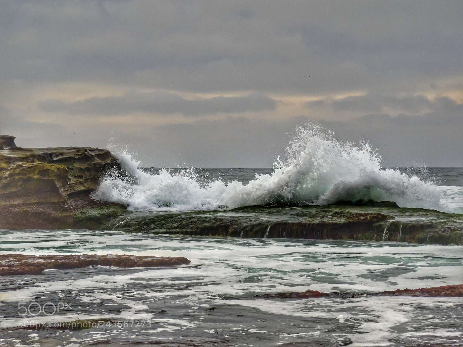 Olympus OM-D E-M1 sample photo. La jolla photography