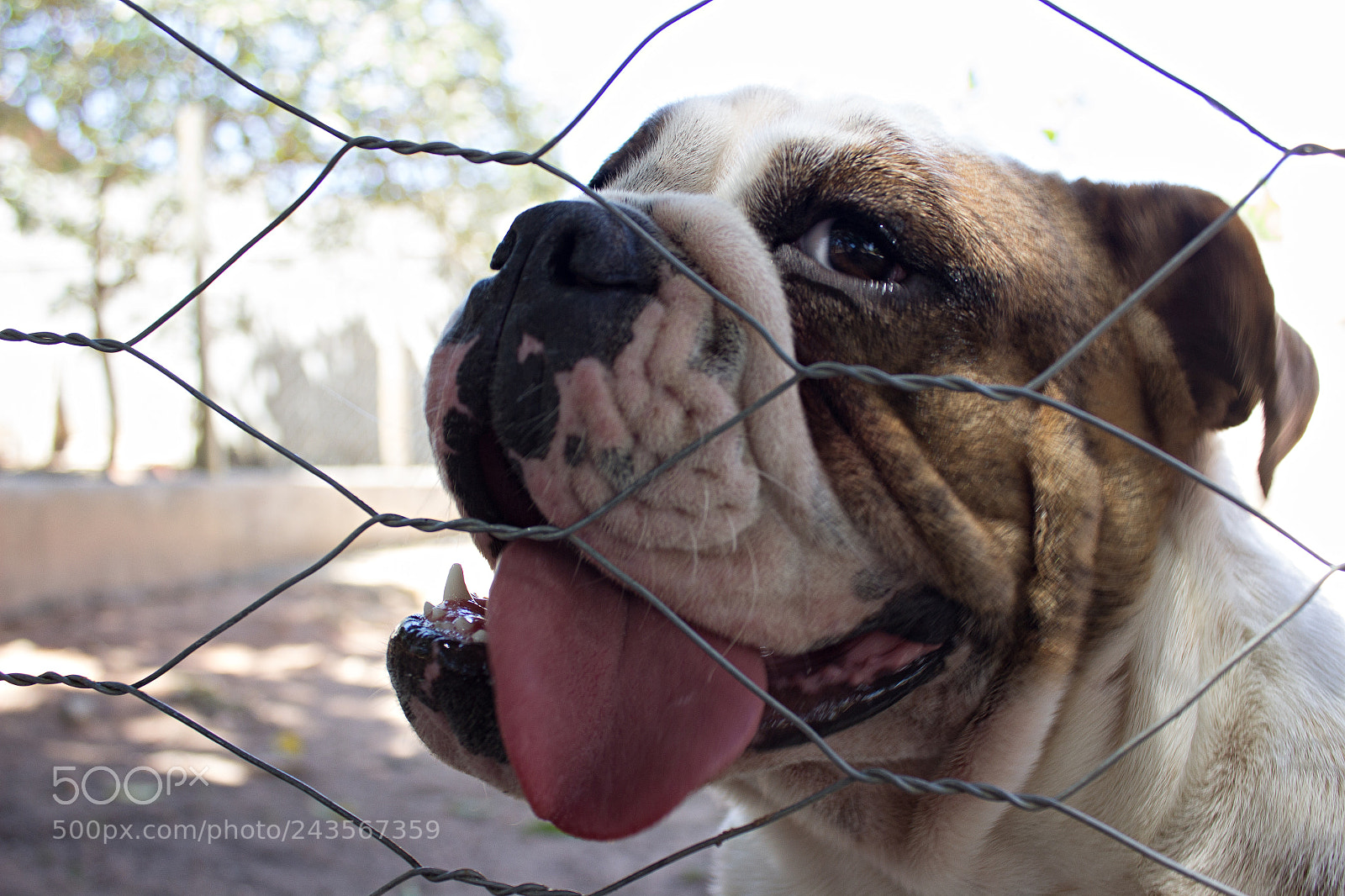 Canon EOS 600D (Rebel EOS T3i / EOS Kiss X5) sample photo. Editar editar photography