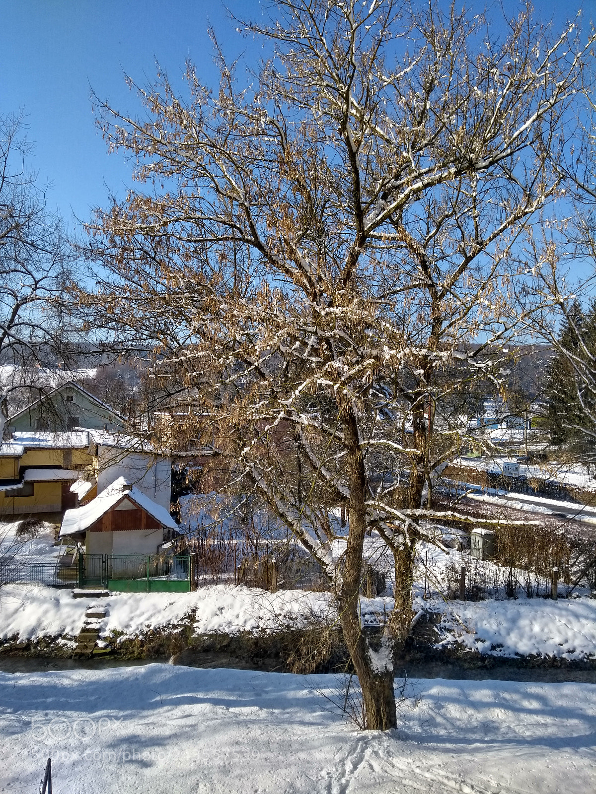 Motorola Moto G (5th Gen) sample photo. Out photography