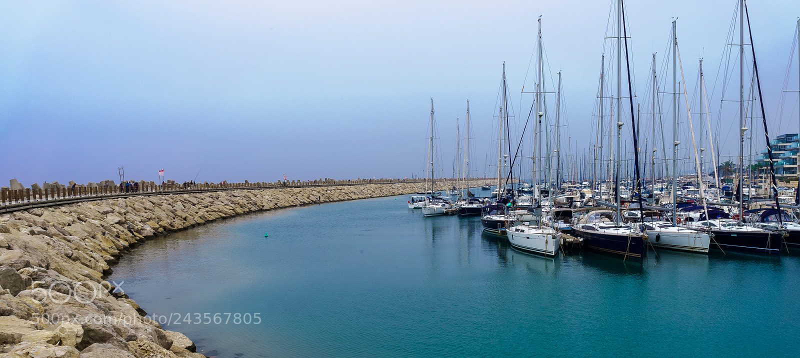 Sony a7S II sample photo. Marina photography