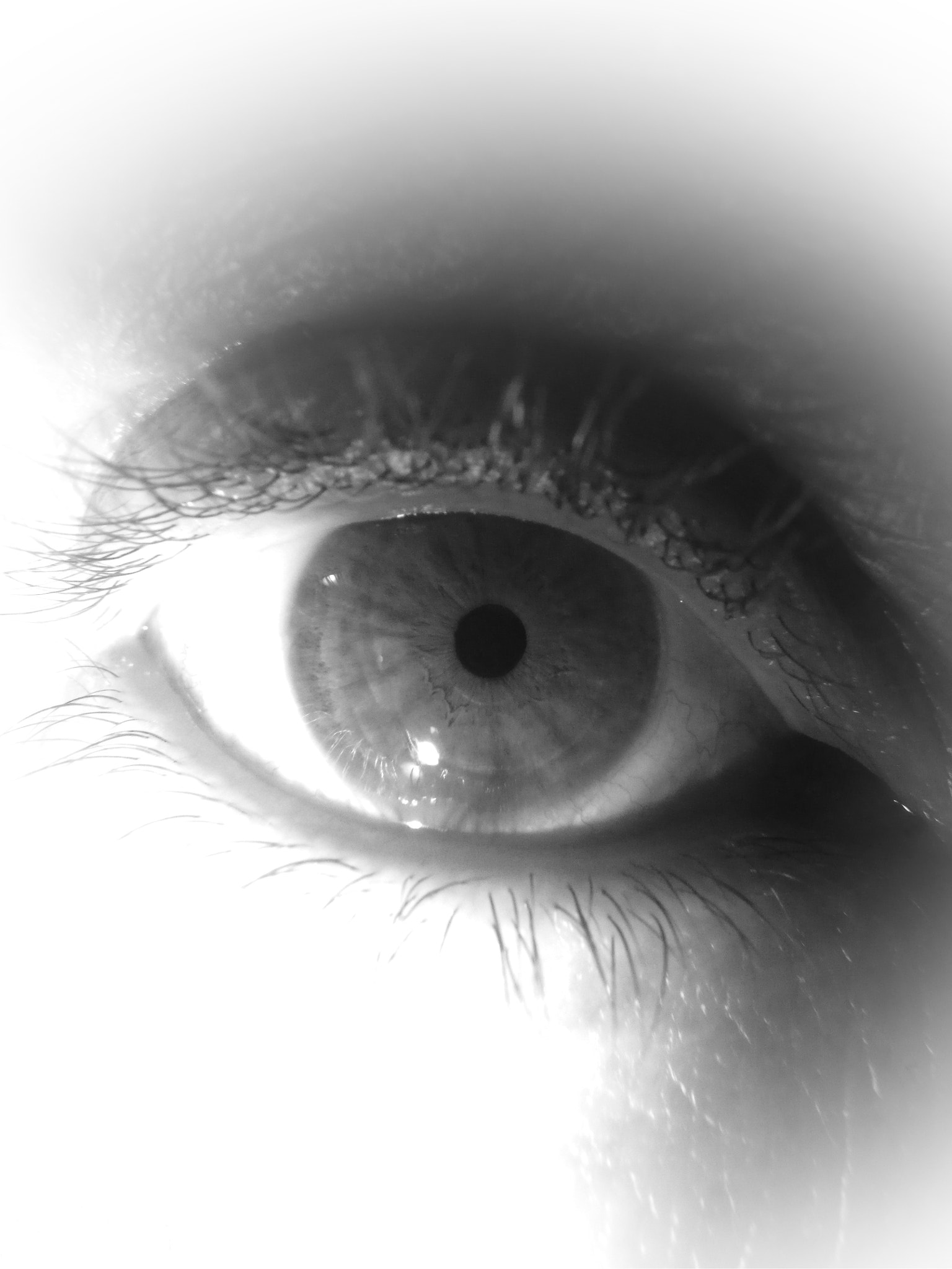 Pentax Optio WG-1 sample photo. Eye am photography
