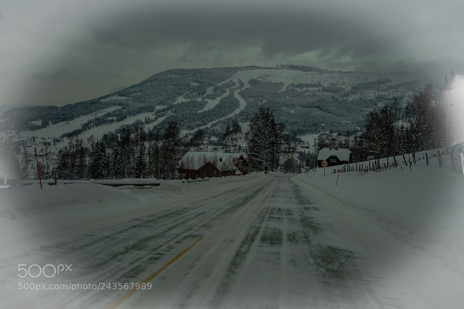 Sony a7 II sample photo. N...road 51(05) photography