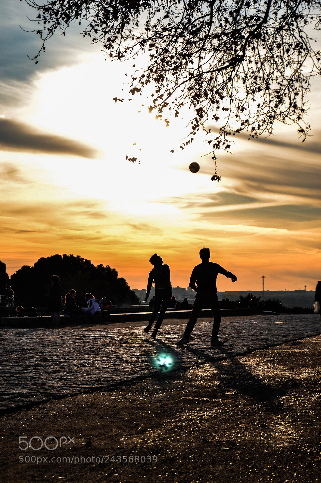 Nikon D3100 sample photo. Football sunset photography