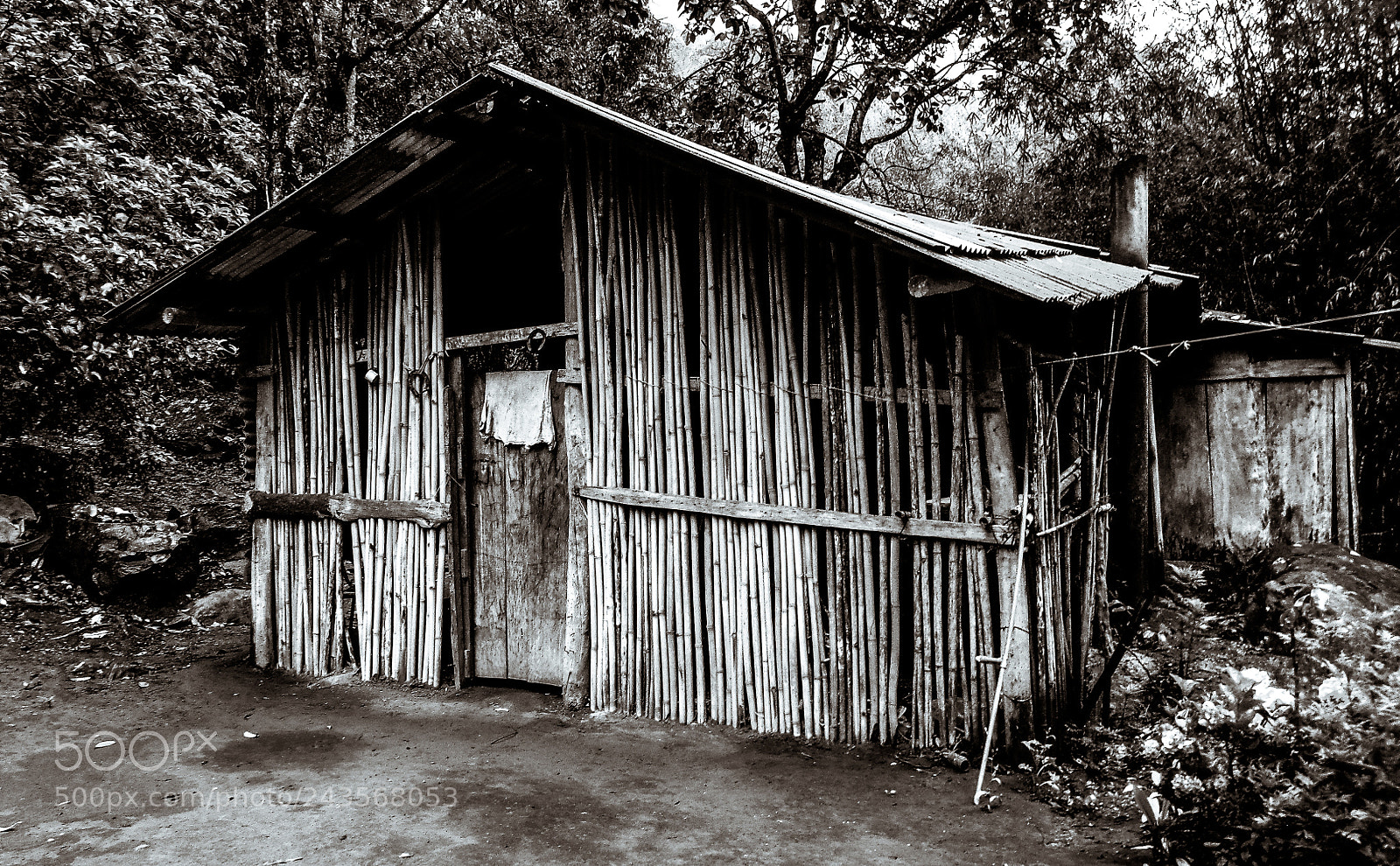 Sony Cyber-shot DSC-H300 sample photo. Simplicidade photography