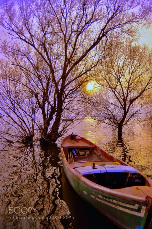 Nikon D90 sample photo. Untitled photography