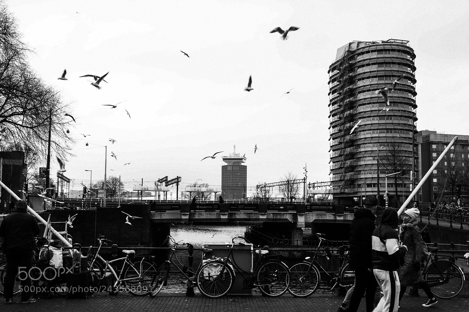 Canon EOS 600D (Rebel EOS T3i / EOS Kiss X5) sample photo. Amsterdam photography