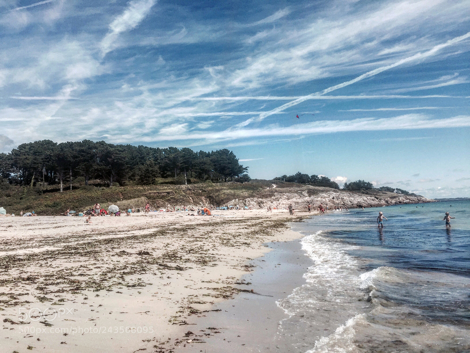Apple iPhone 6 Plus sample photo. Holidays come back photography