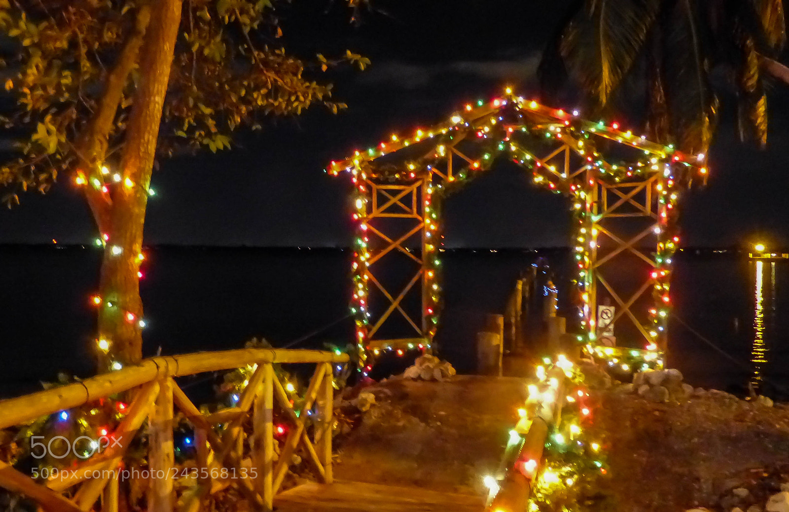Panasonic Lumix DMC-FZ200 sample photo. Holiday lights photography