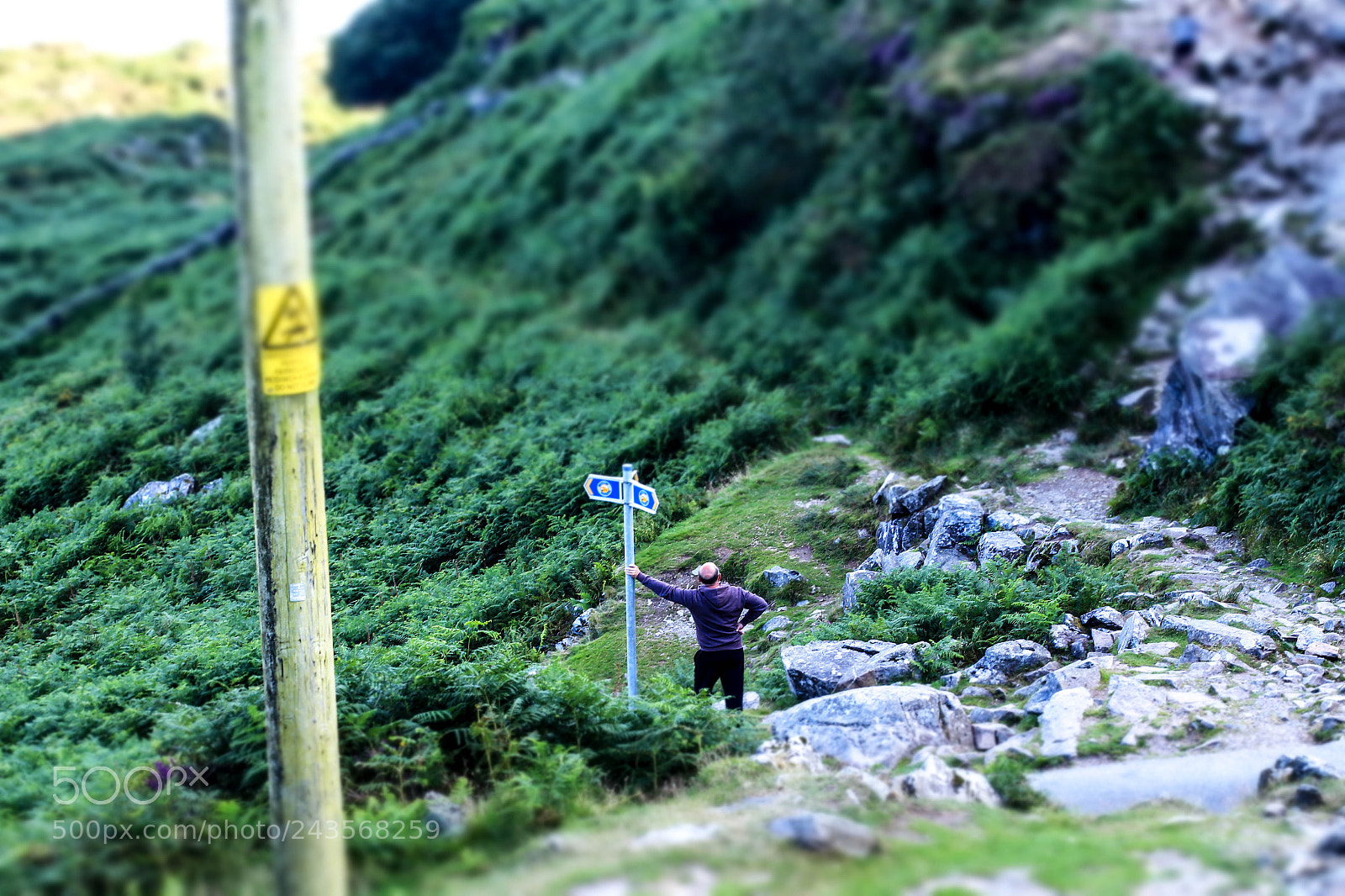 Canon EOS 650D (EOS Rebel T4i / EOS Kiss X6i) sample photo. I'm hero...wales '17 photography