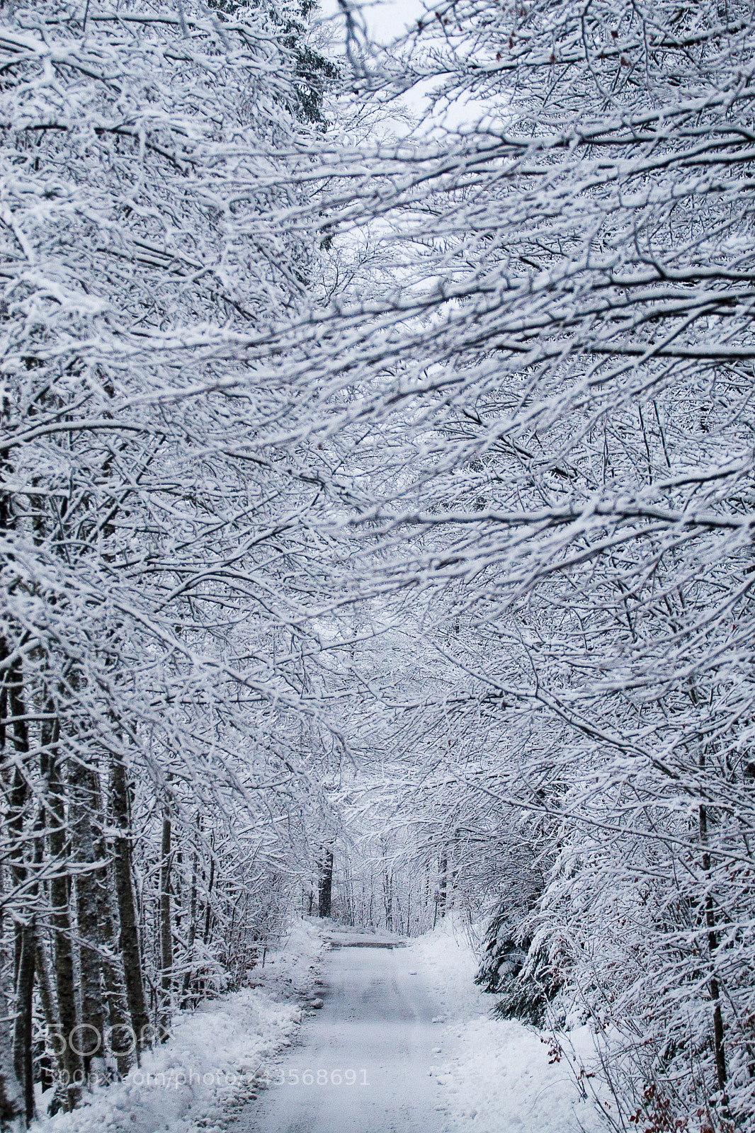 Canon EOS 30D sample photo. Winter photography