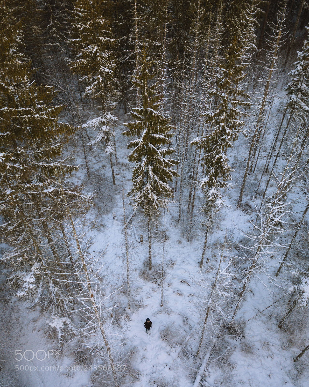 DJI FC220 sample photo. Untitled photography