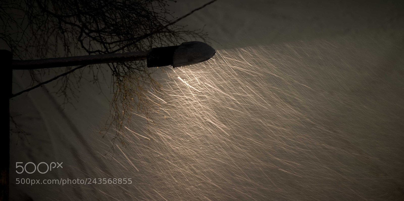 Nikon D610 sample photo. Snowy photography
