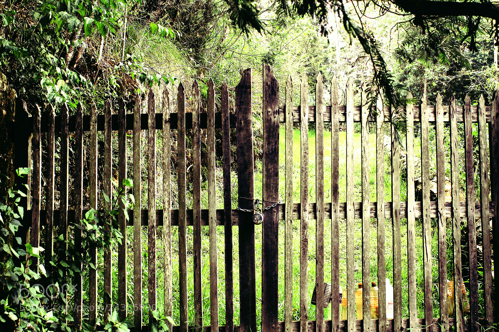 Canon EOS 1100D (EOS Rebel T3 / EOS Kiss X50) sample photo. Nostalgic gate photography