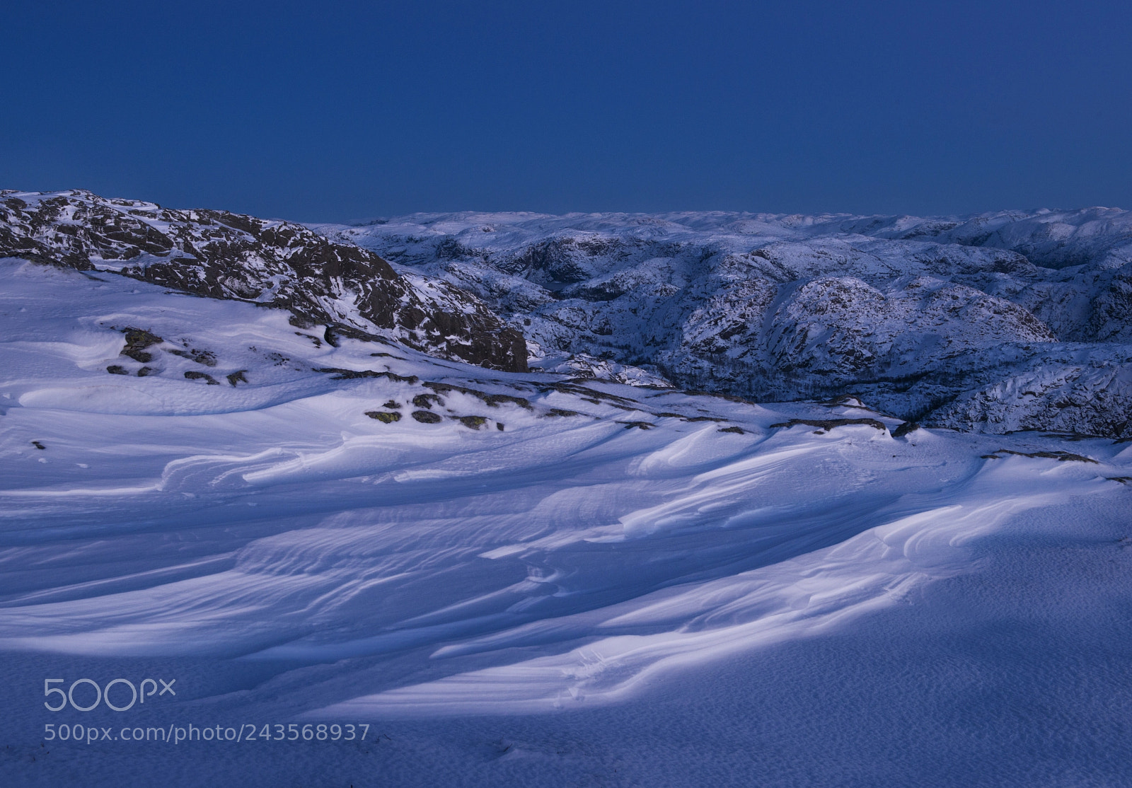 Nikon D800 sample photo. Blue hour - heiahorn photography