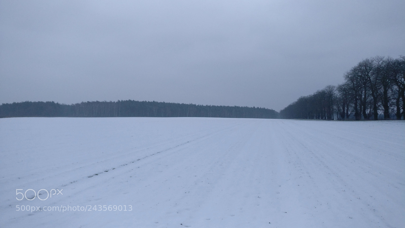 OnePlus A3003 sample photo. Winter in poland photography