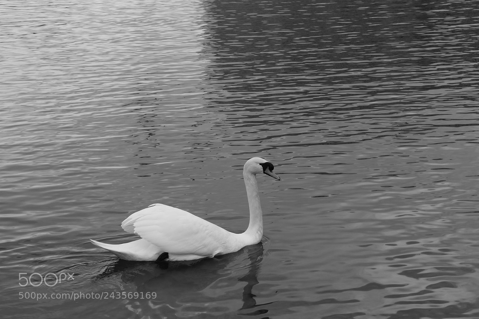 Canon EF-S 18-55mm F3.5-5.6 III sample photo. Le signe photography