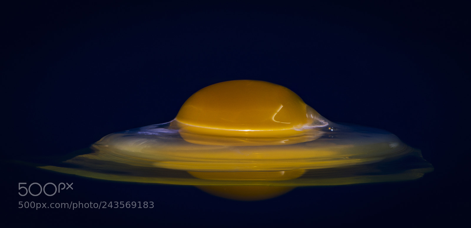 Nikon D7200 sample photo. Yellow meets blue photography