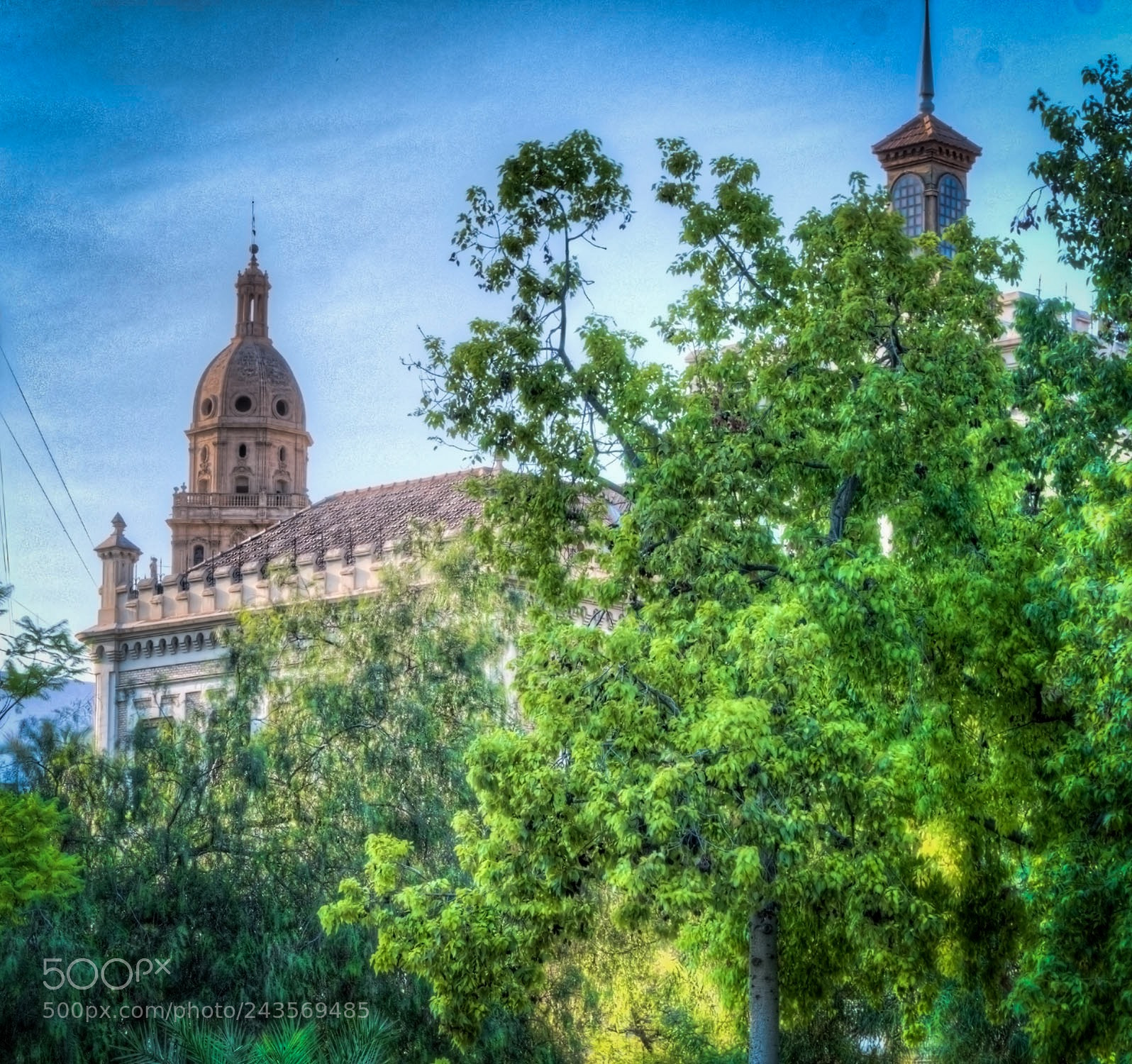 Nikon D500 sample photo. Torre de la catedral photography