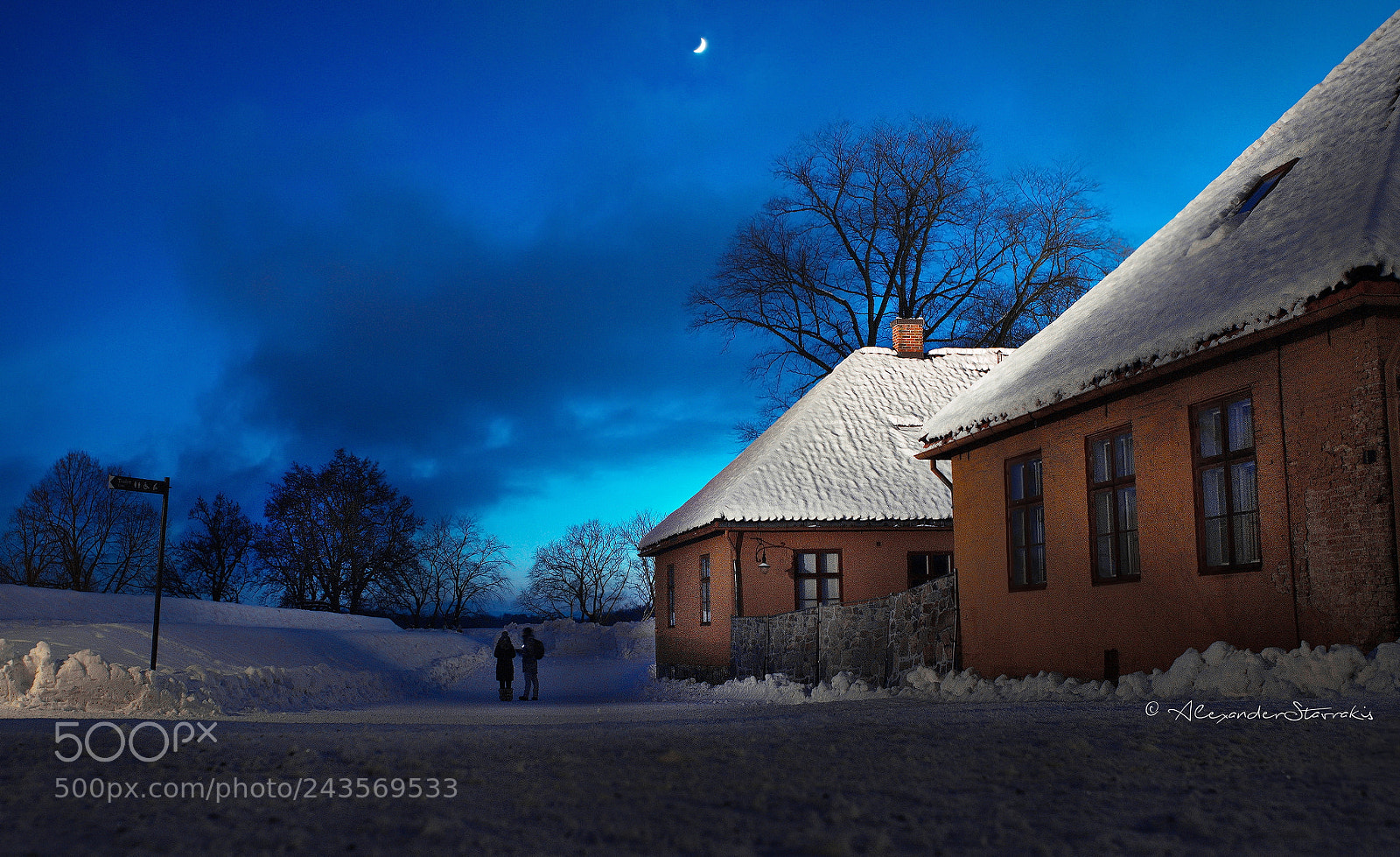 Nikon D3100 sample photo. Norwegian blue.. photography