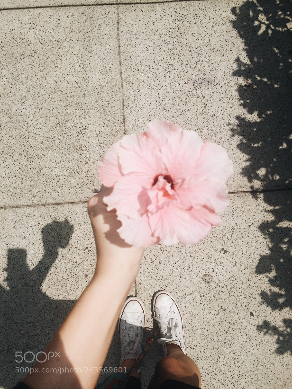 Apple iPhone 6 sample photo. Untitled photography