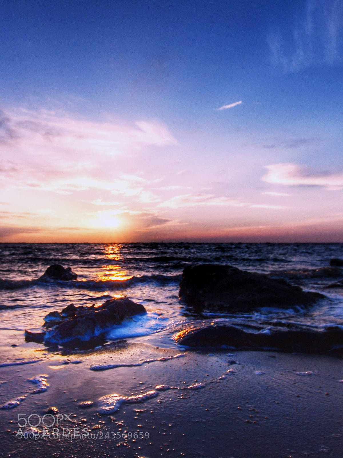 Nikon D7500 sample photo. One morning at the photography