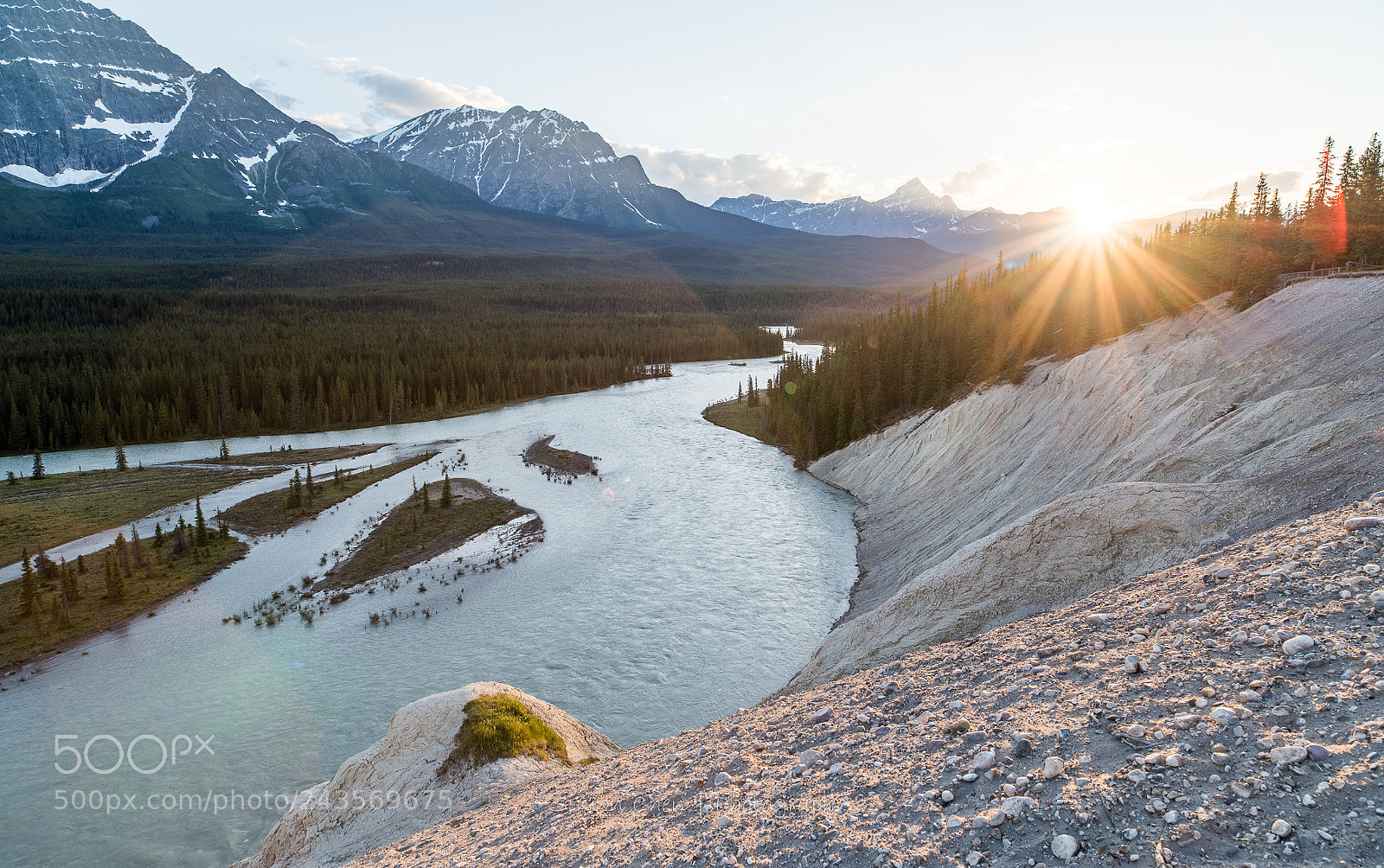 Nikon D810 sample photo. Jasper valley photography