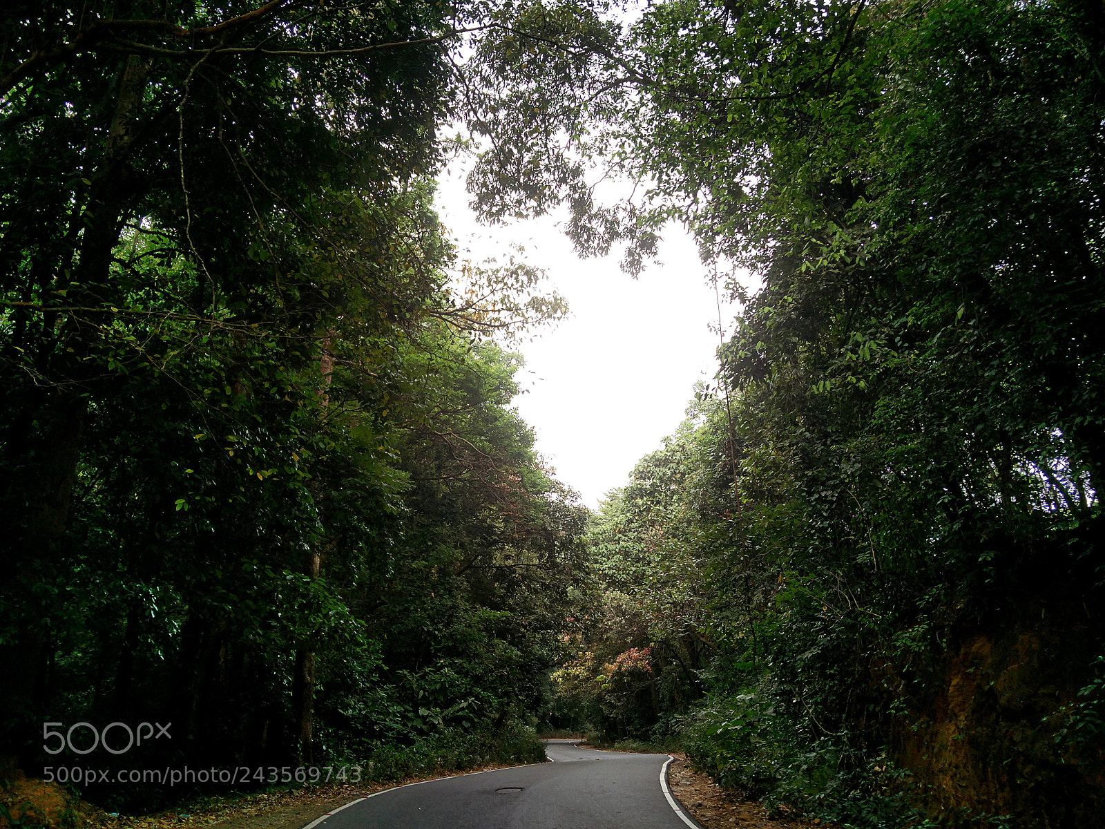 OnePlus 2 sample photo. Heart & nature photography