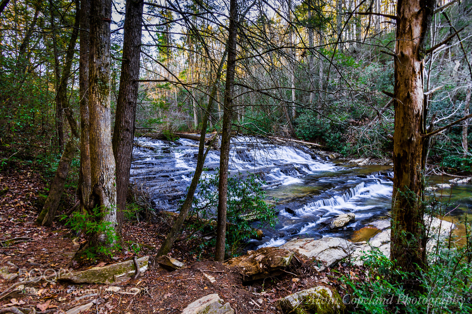 Nikon D7200 sample photo. On a warm winter photography