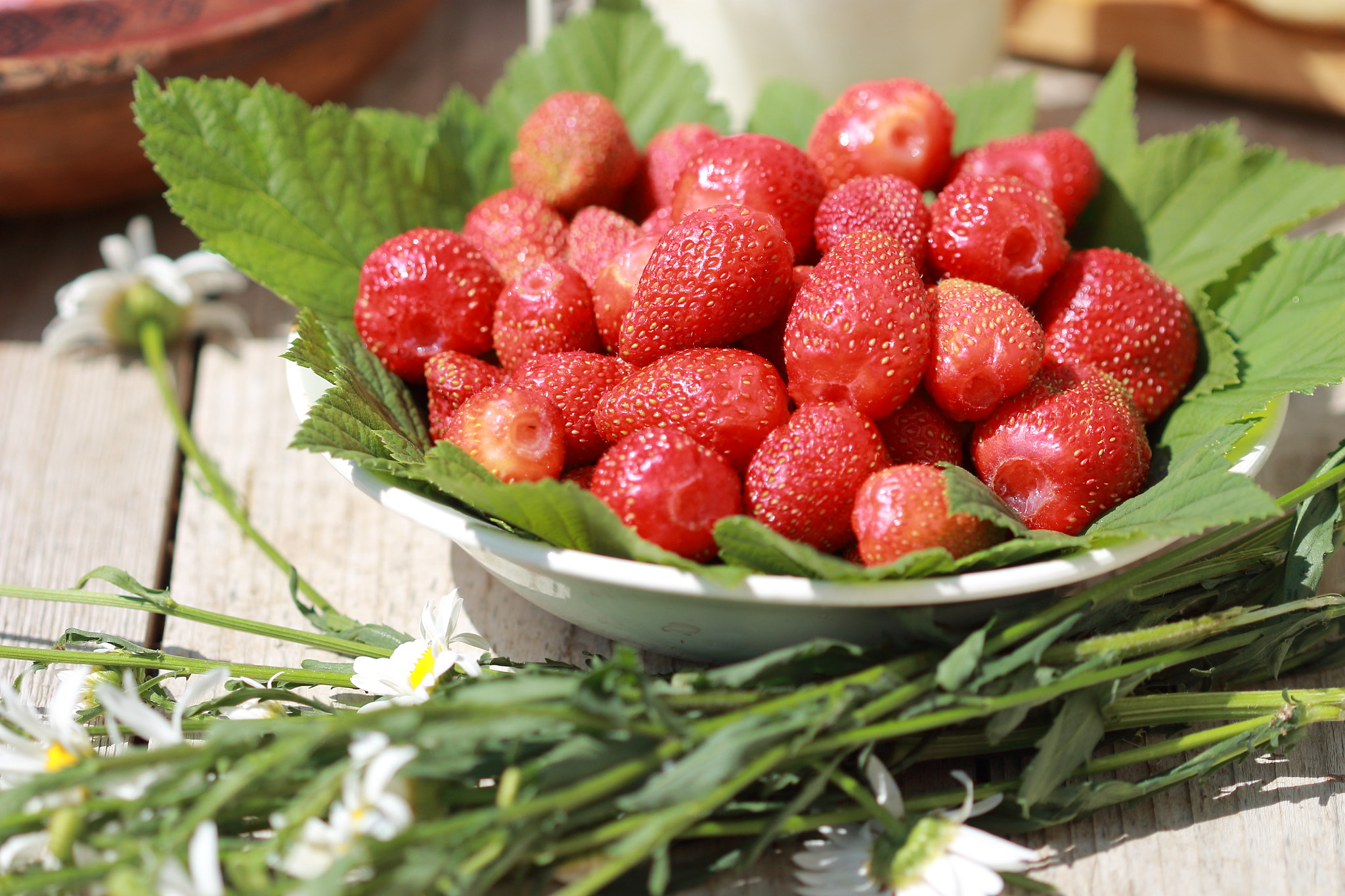 Canon EF 100mm F2.8 Macro USM sample photo. Img photography