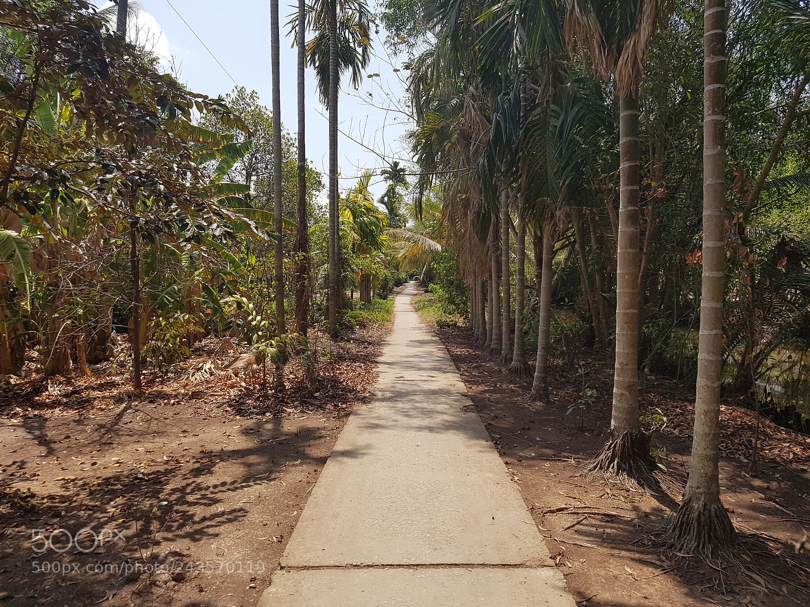 Samsung Galaxy S7 sample photo. 20160501_102928.jpg photography