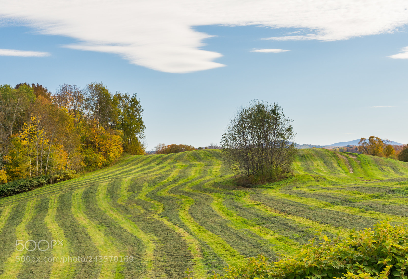 Nikon D7200 sample photo. Vermont hills photography