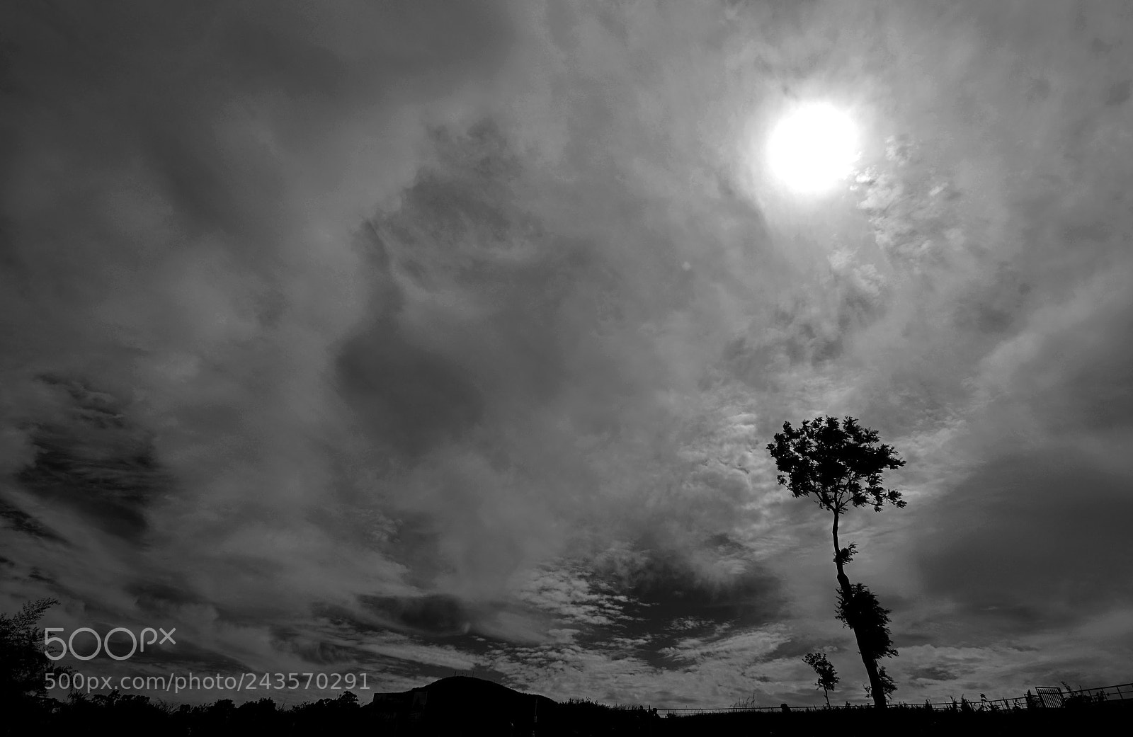 Nikon D5100 sample photo. Alone photography