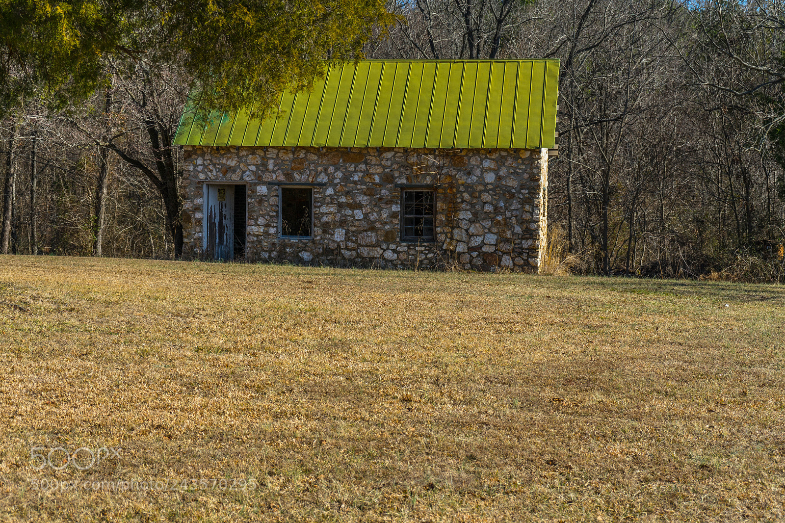 Sony a7 II sample photo. Green roof photography