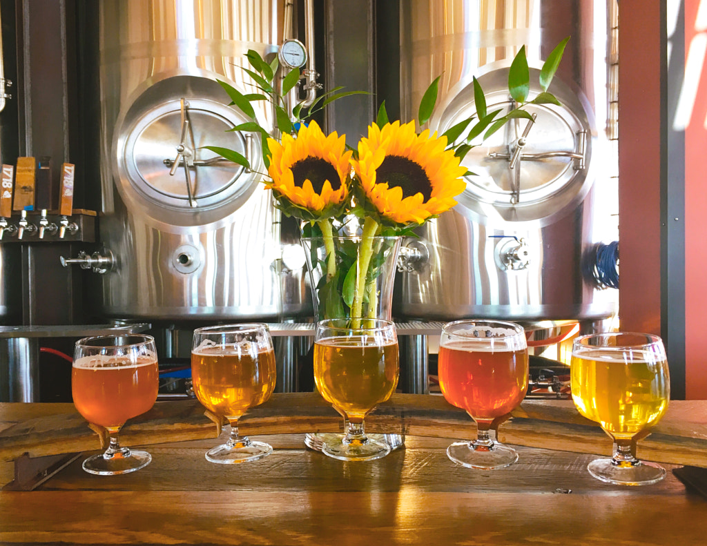 beer flight by Anne Hisle on 500px.com