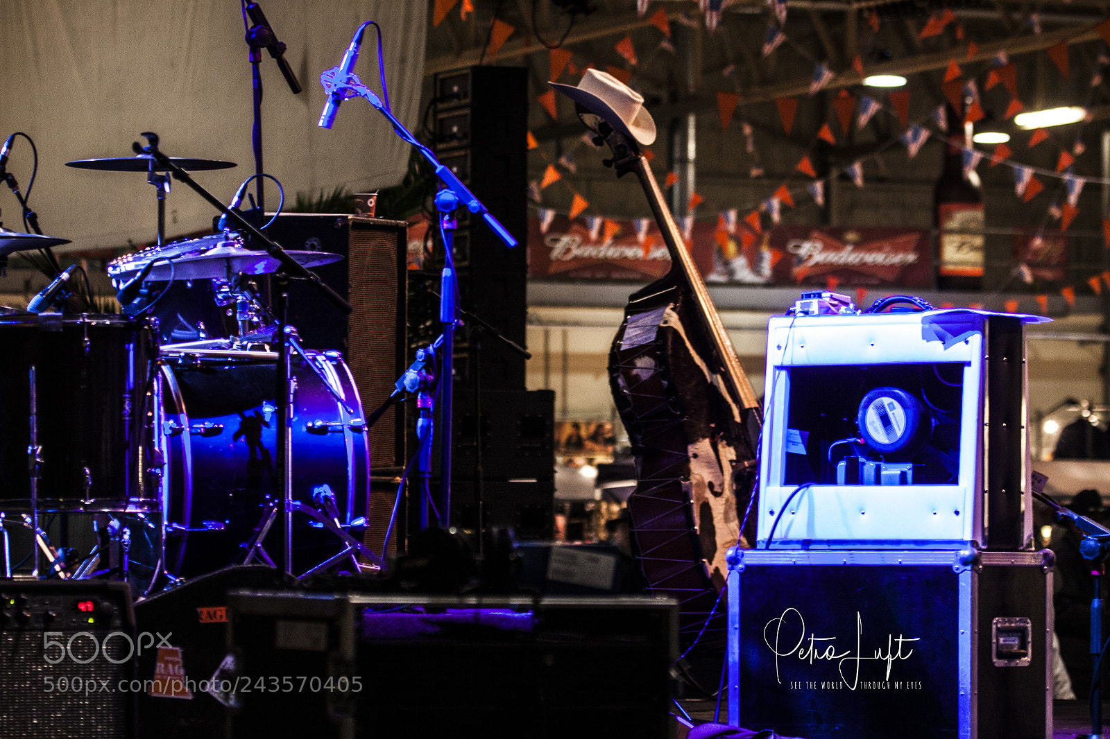 Canon EOS 50D sample photo. Band photography