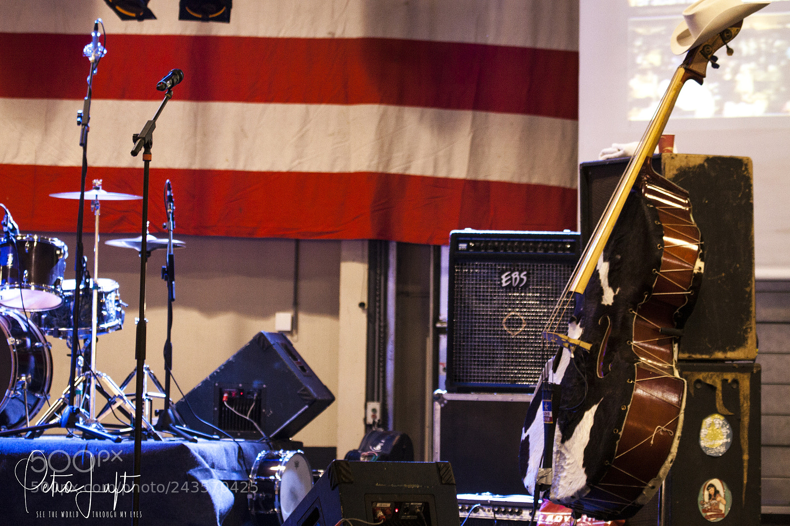 Canon EOS 50D sample photo. Band photography