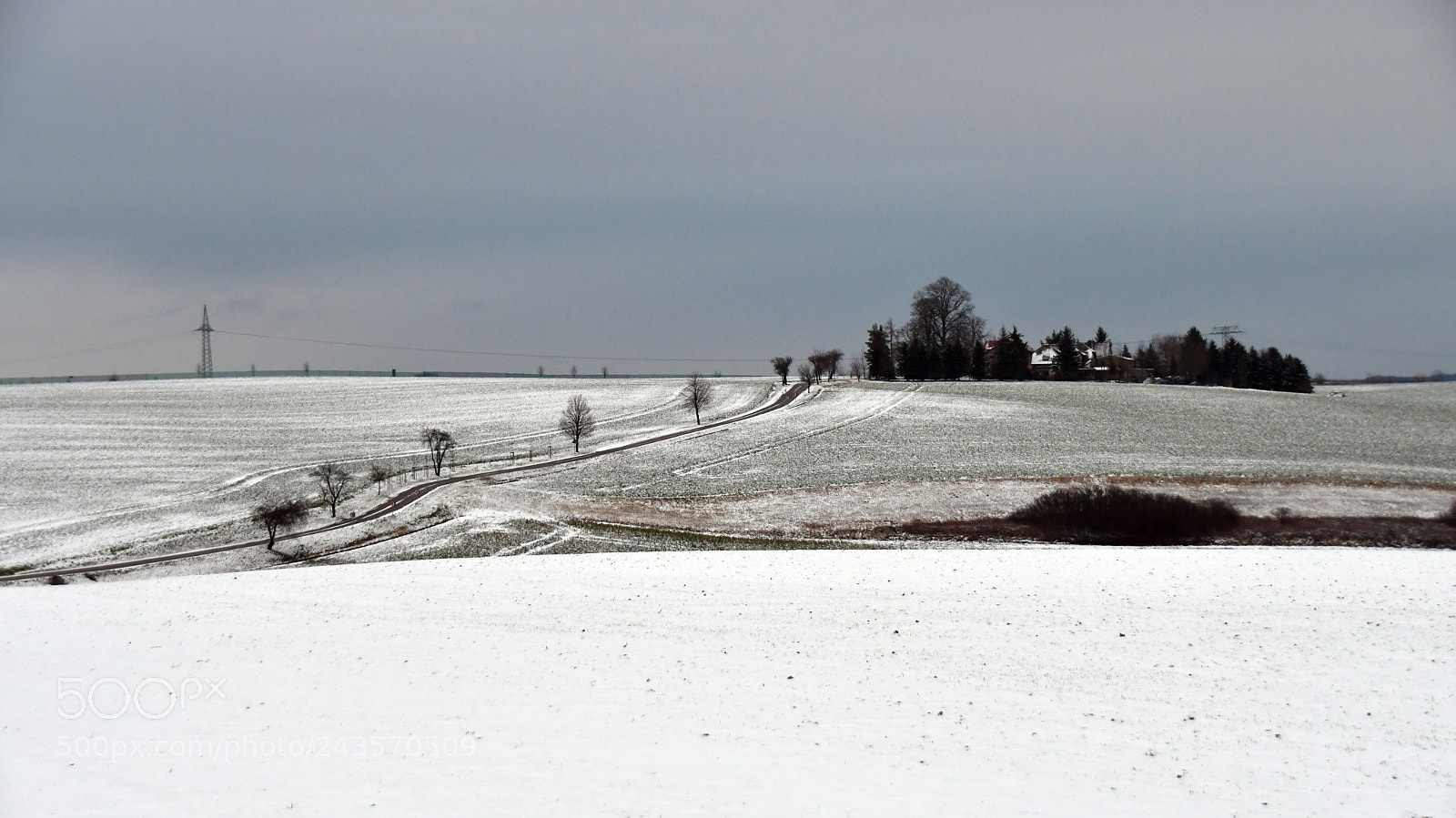 Nikon D500 sample photo. The long way home photography