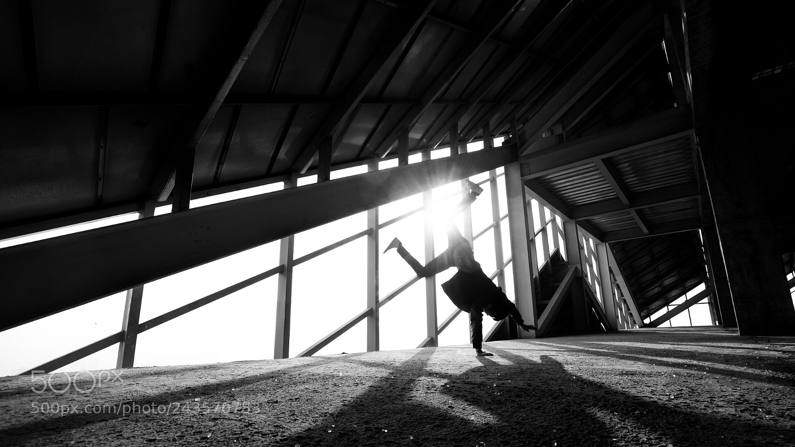 Nikon D500 sample photo. Untitled photography