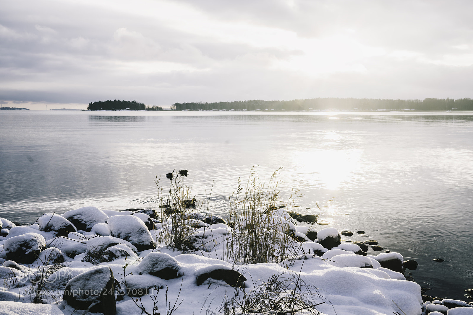 Sony a7R II sample photo. Brighter days again photography