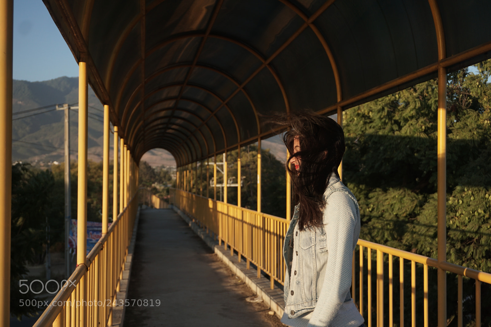 Sony a6000 + Sony E 18-50mm F4-5.6 sample photo. Dsc photography