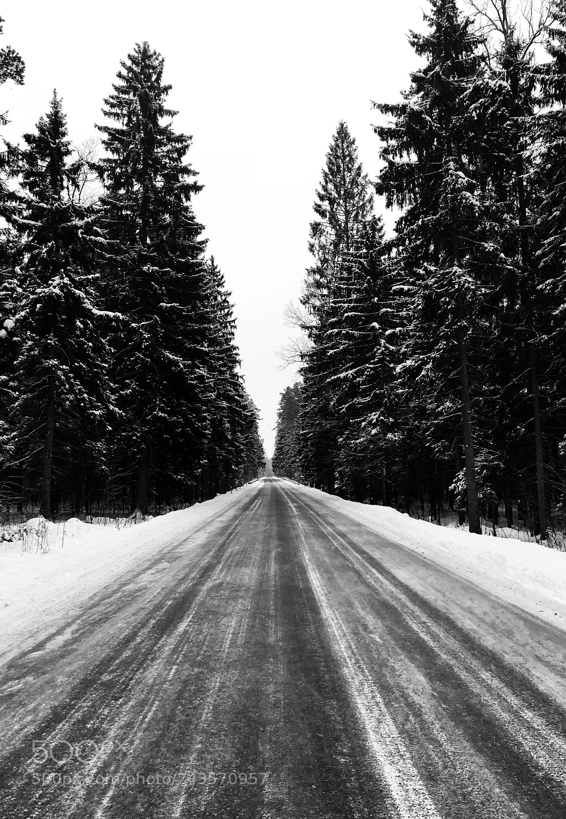 Apple iPhone 8 sample photo. Untitled photography