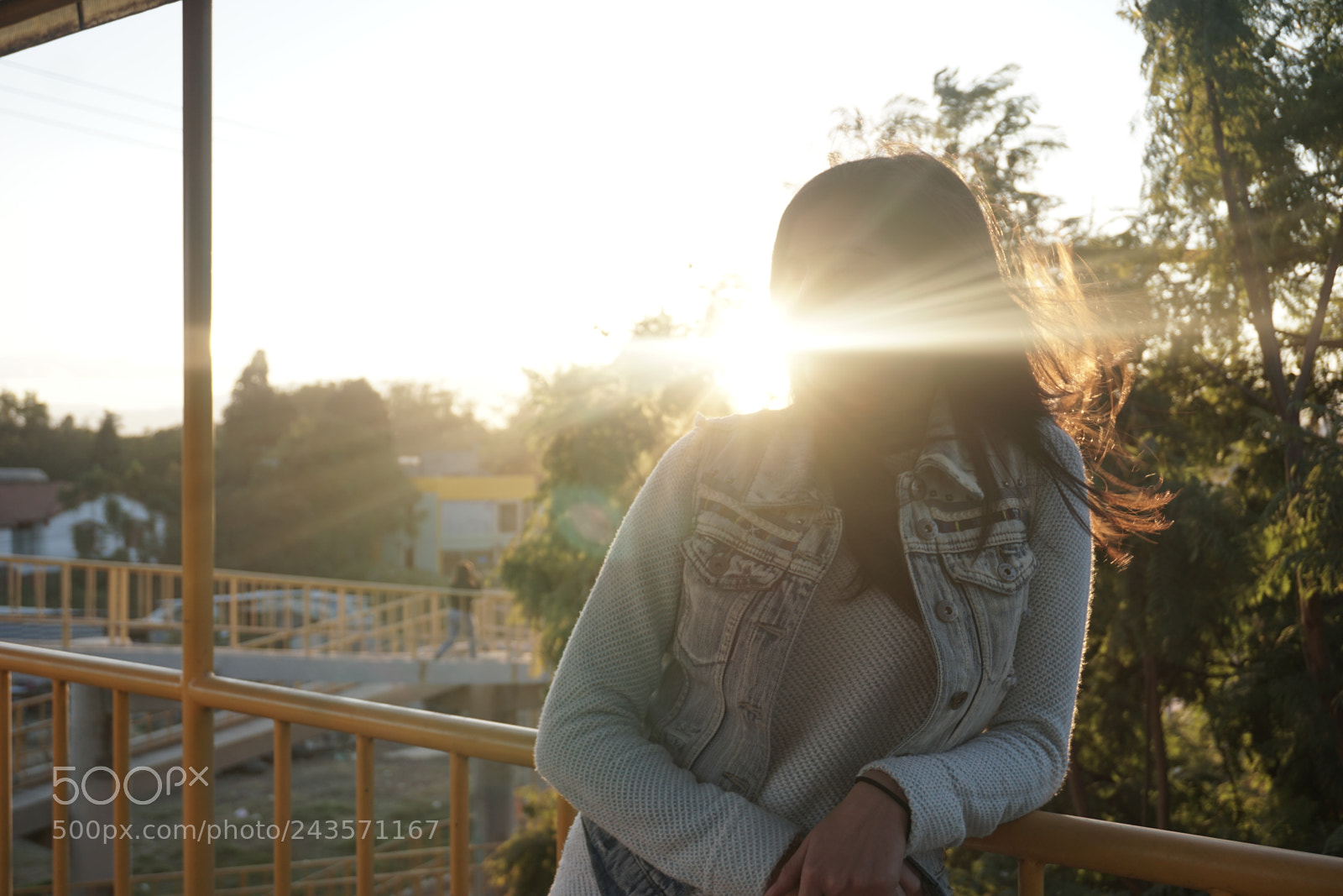 Sony E 16-50mm F3.5-5.6 PZ OSS sample photo. Dsc photography