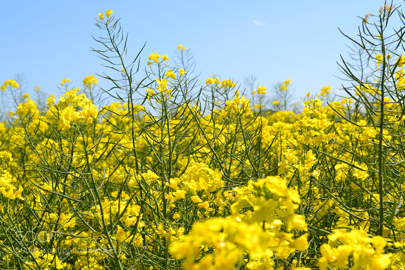 Nikon D3100 sample photo. Lets get lost photography